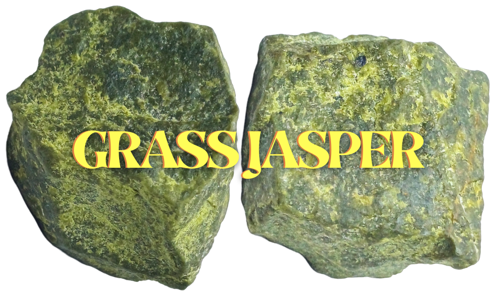 Grass Jasper