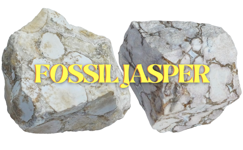 Fossil Jasper