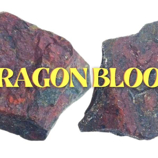 Dragon Blood