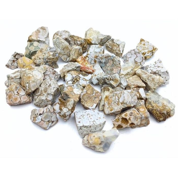 15 TO 25 MM FOSSIL JASPER ROUGH STONE