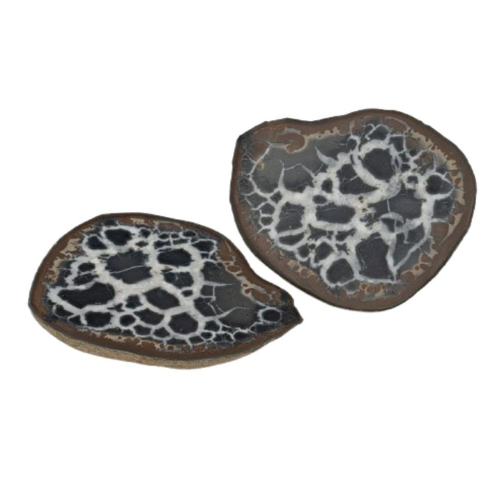 2" SEPTARIAN NODULE
