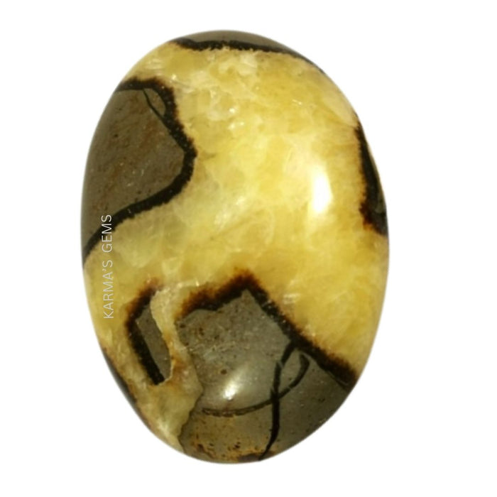 PIERRE DE PALMIER SEPTARIENNE