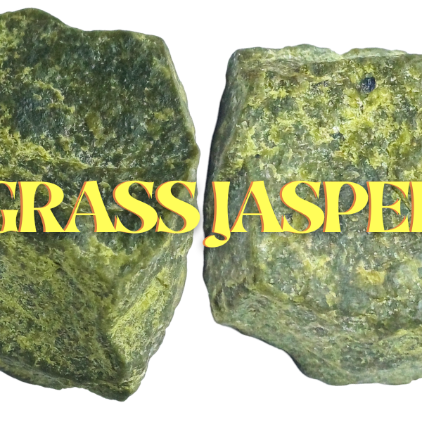 Grass Jasper