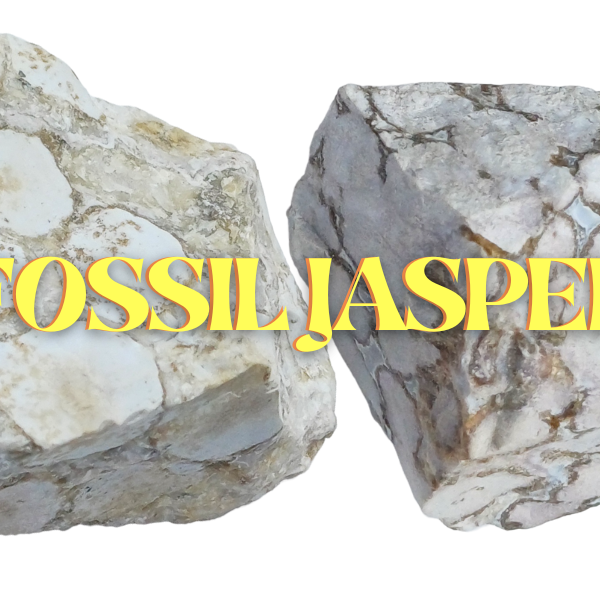 Fossil Jasper