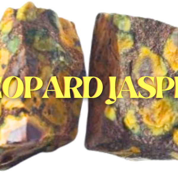 Leopard Jasper