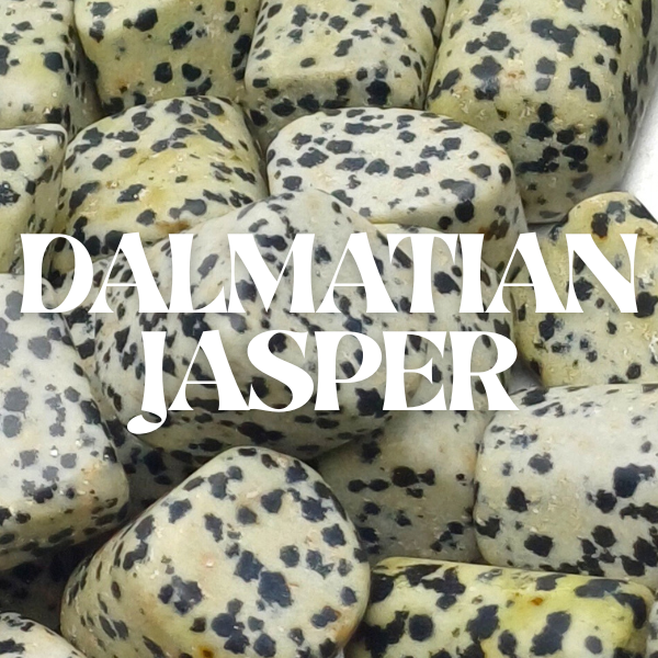 Dalmatian Jasper Crystal Stone ( Sept - 15 )