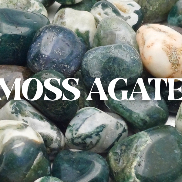 Moss Agate Crystal Stone ( Aug 18 )