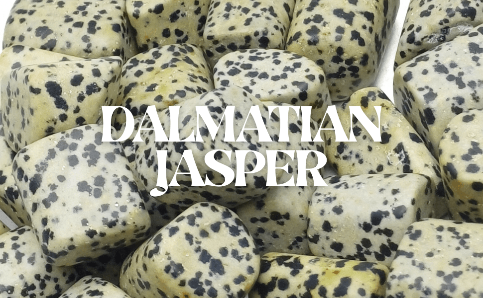 Dalmatian Jasper