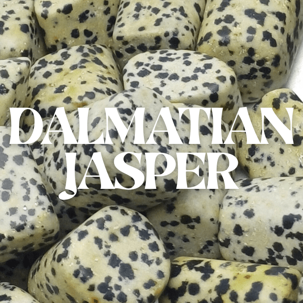 Dalmatian Jasper Crystal Stone ( Sept - 15 )