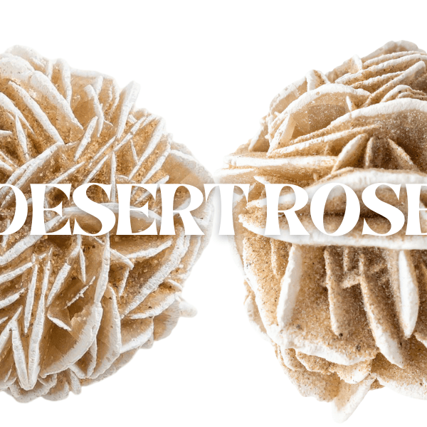 Desert Rose