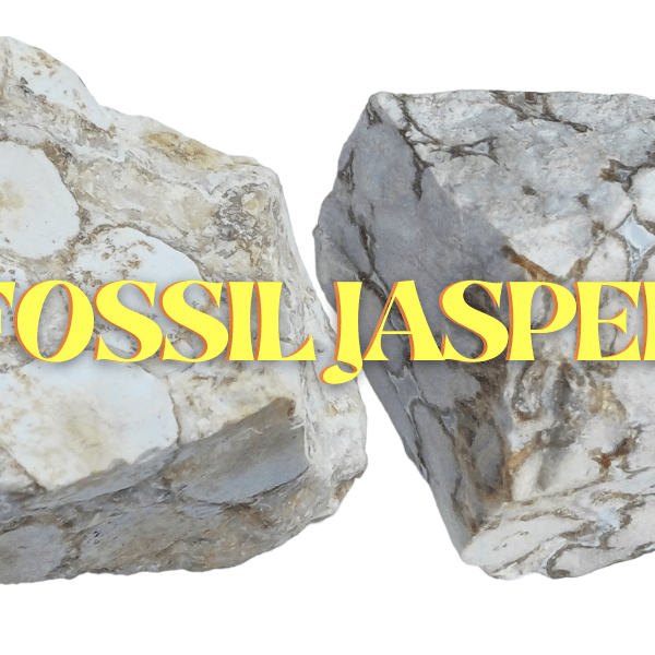 Fossil Jasper