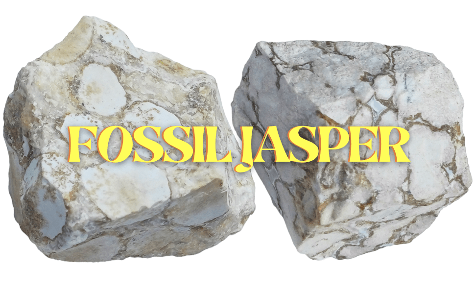 Fossil Jasper