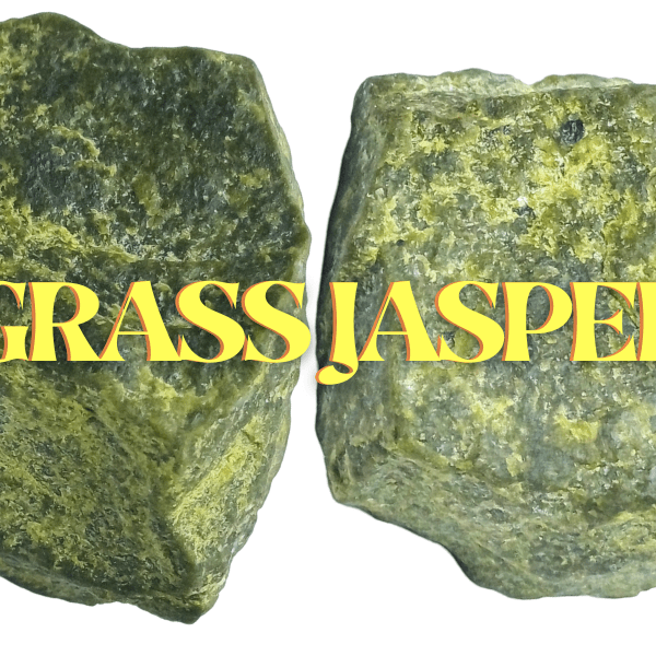Grass Jasper