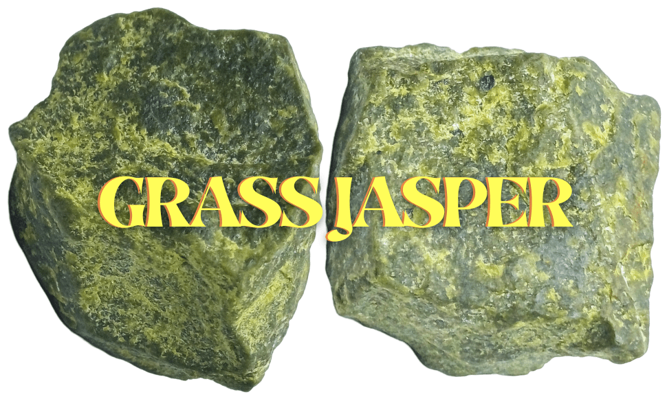 Grass Jasper