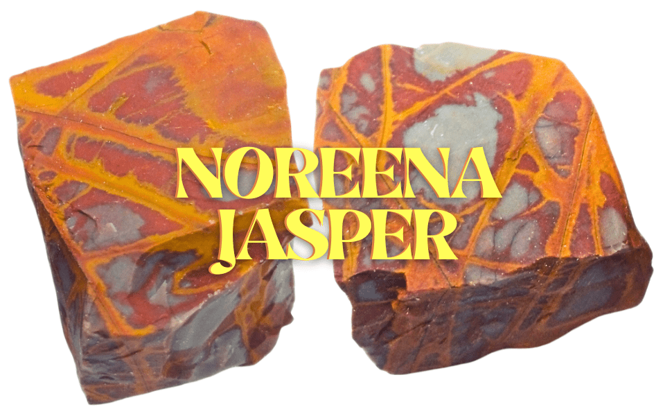 Noreena Jasper