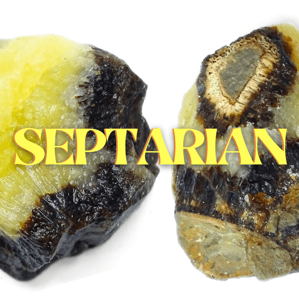 Septarian
