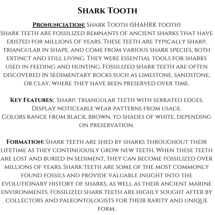2" TO 3" SHARK TOOTH ON MATRIX