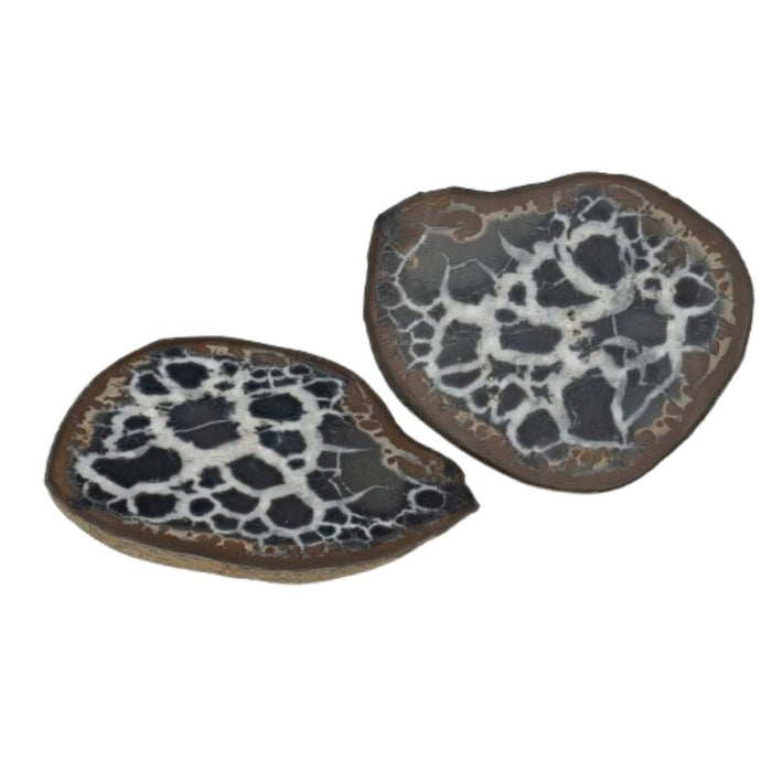 2" SEPTARIAN NODULE