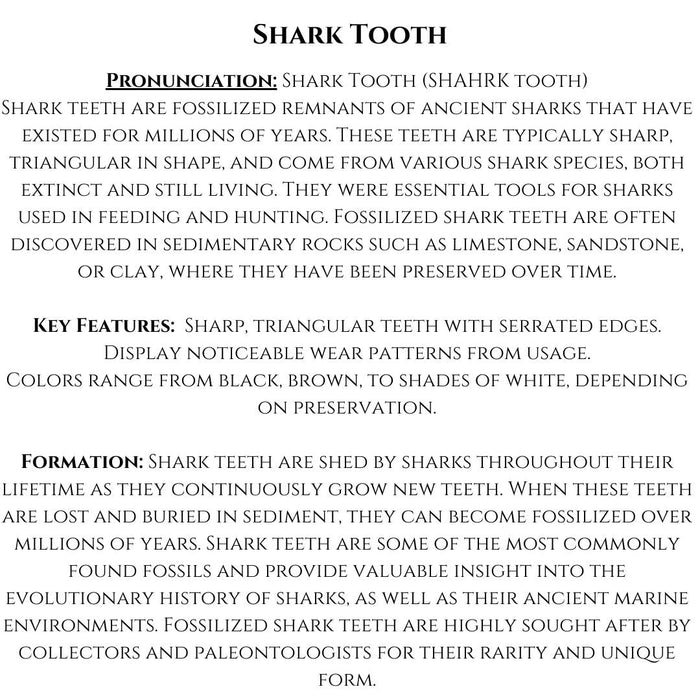 2" TO 3" SHARK TOOTH ON MATRIX