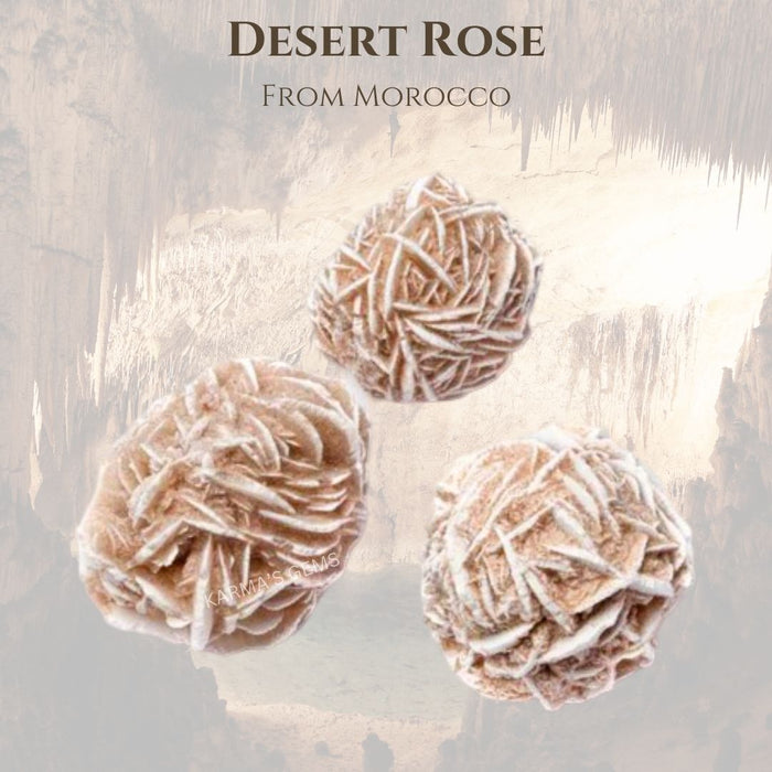 DESSERT ROSE
