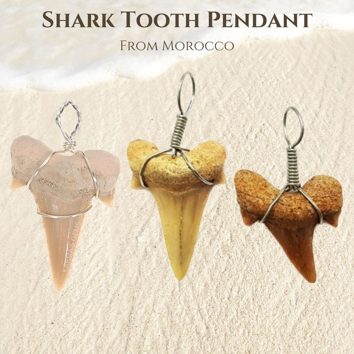 SHARK TOOTH PENDANT