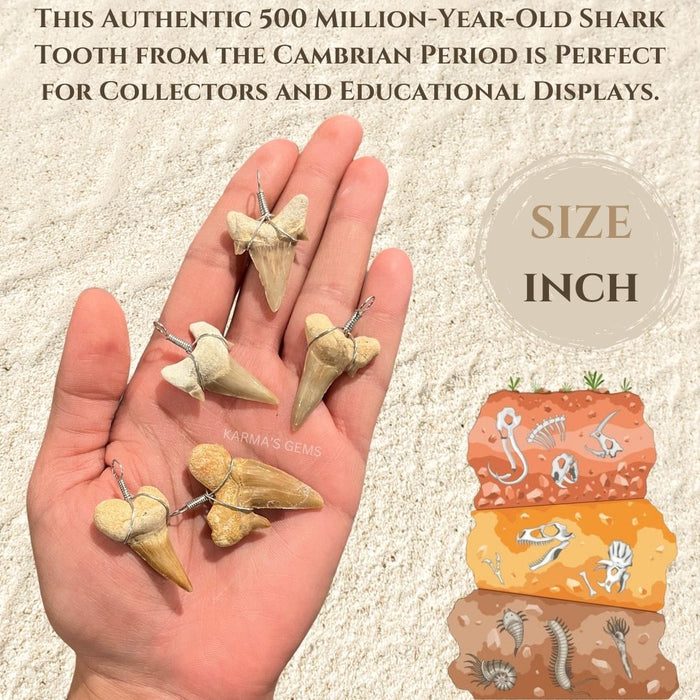 SHARK TOOTH PENDANT